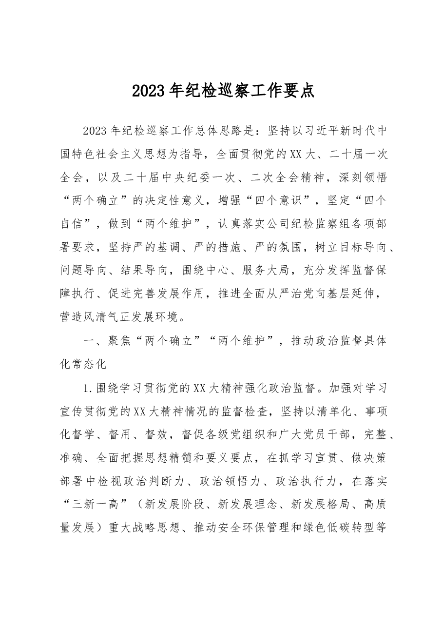 2023年纪检巡察工作要点.docx,第1页预览