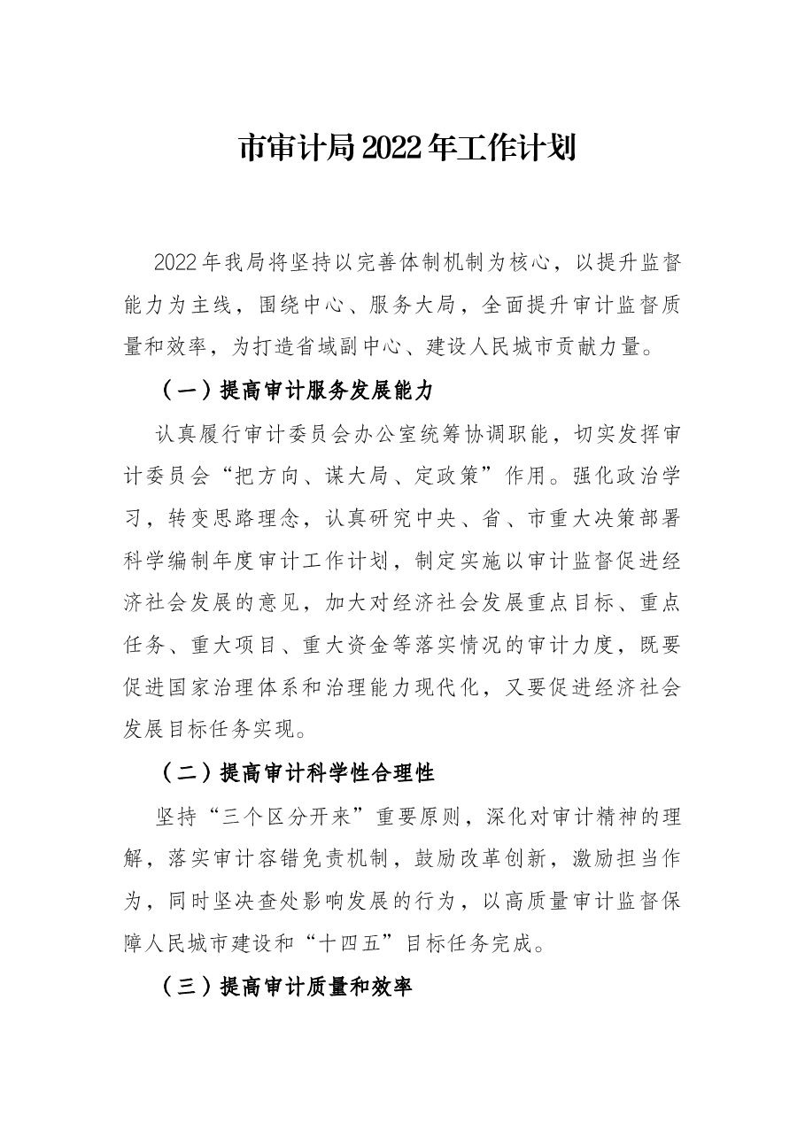 市审计局2022年工作计划.docx,第1页预览