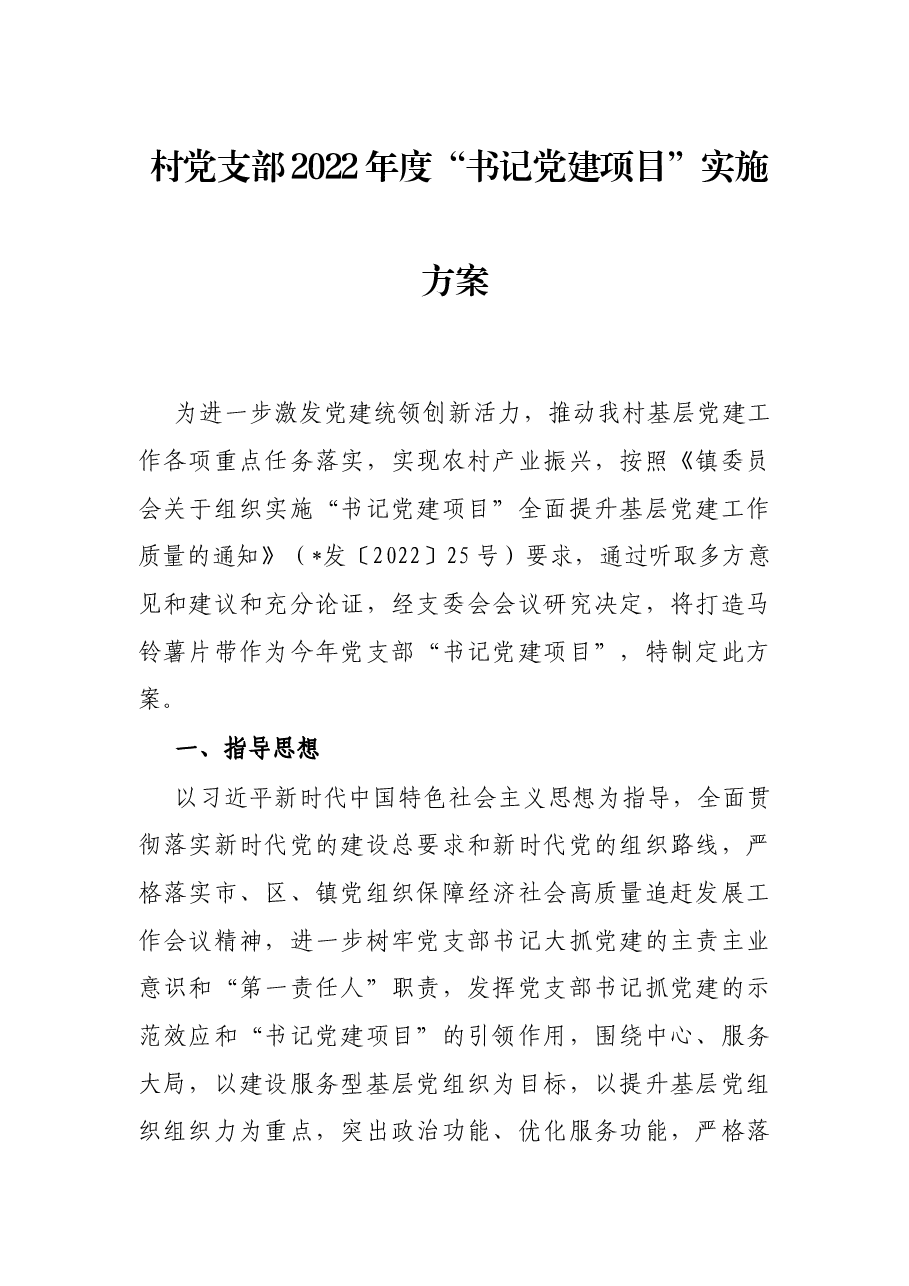 村党支部2022年度“书记党建项目”实施方案.docx,第1页预览