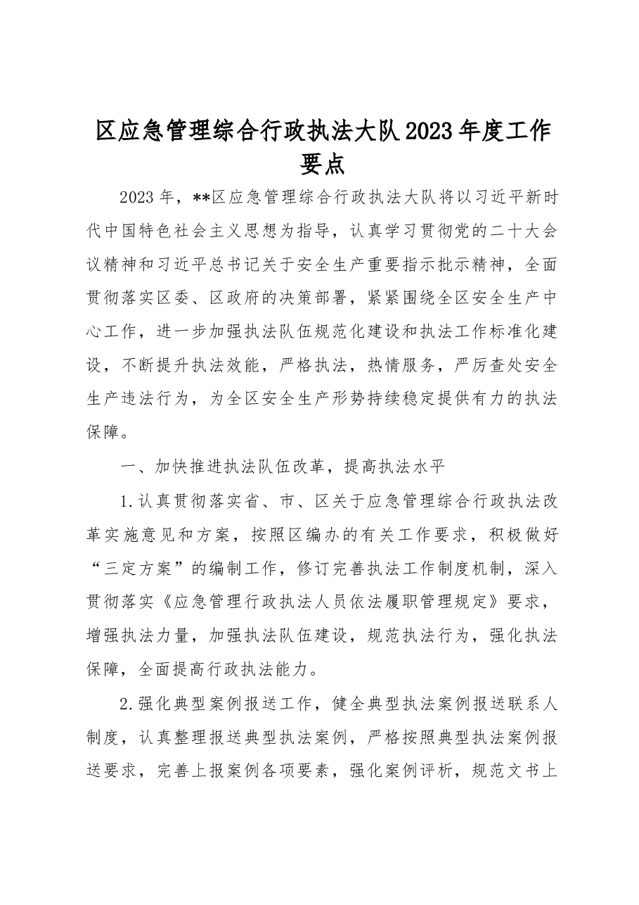 区应急管理综合行政执法大队2023年度工作要点.docx,第1页预览