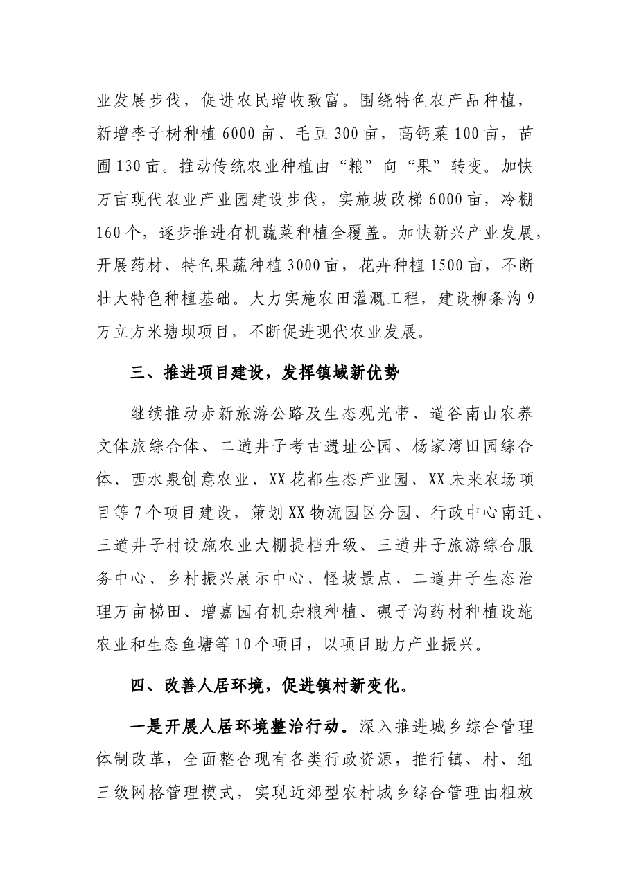 X镇2022年工作要点.docx,第3页预览