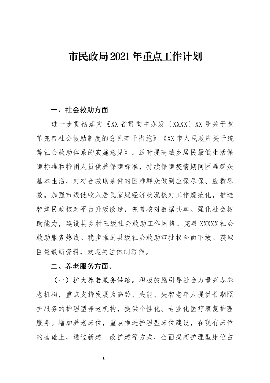 市民政局2021年重点工作计划.docx,第1页预览