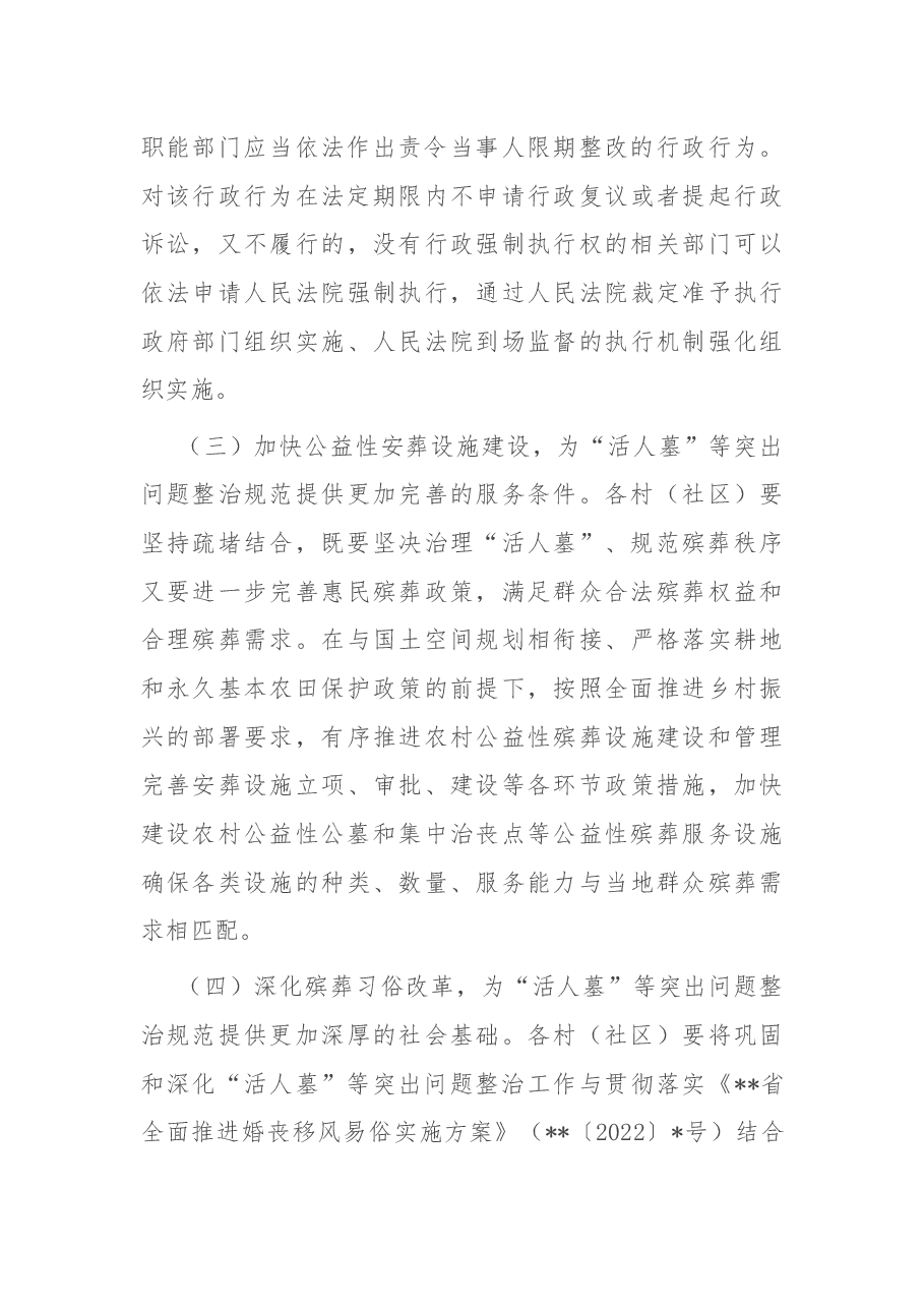 镇巩固和深化“活人墓”等突出问题整治规范工作方案.docx,第3页预览