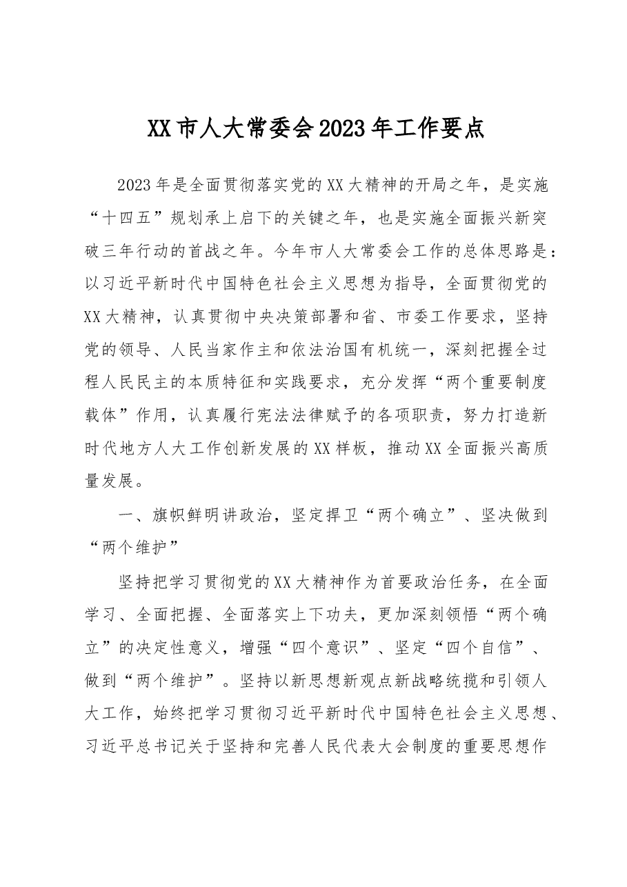 XX市人大常委会2023年工作要点.docx,第1页预览