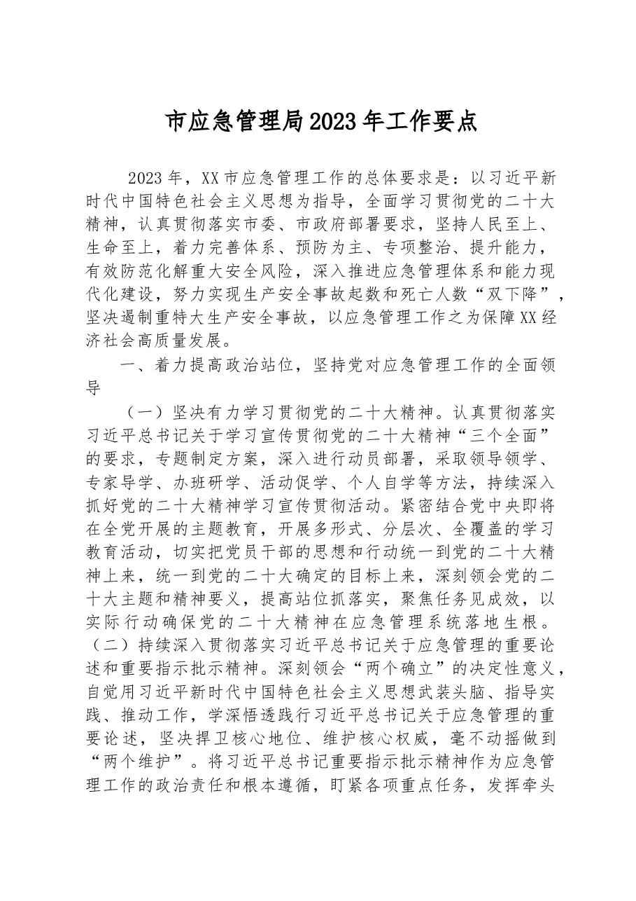 市应急管理局2023年工作要点.docx,第1页预览