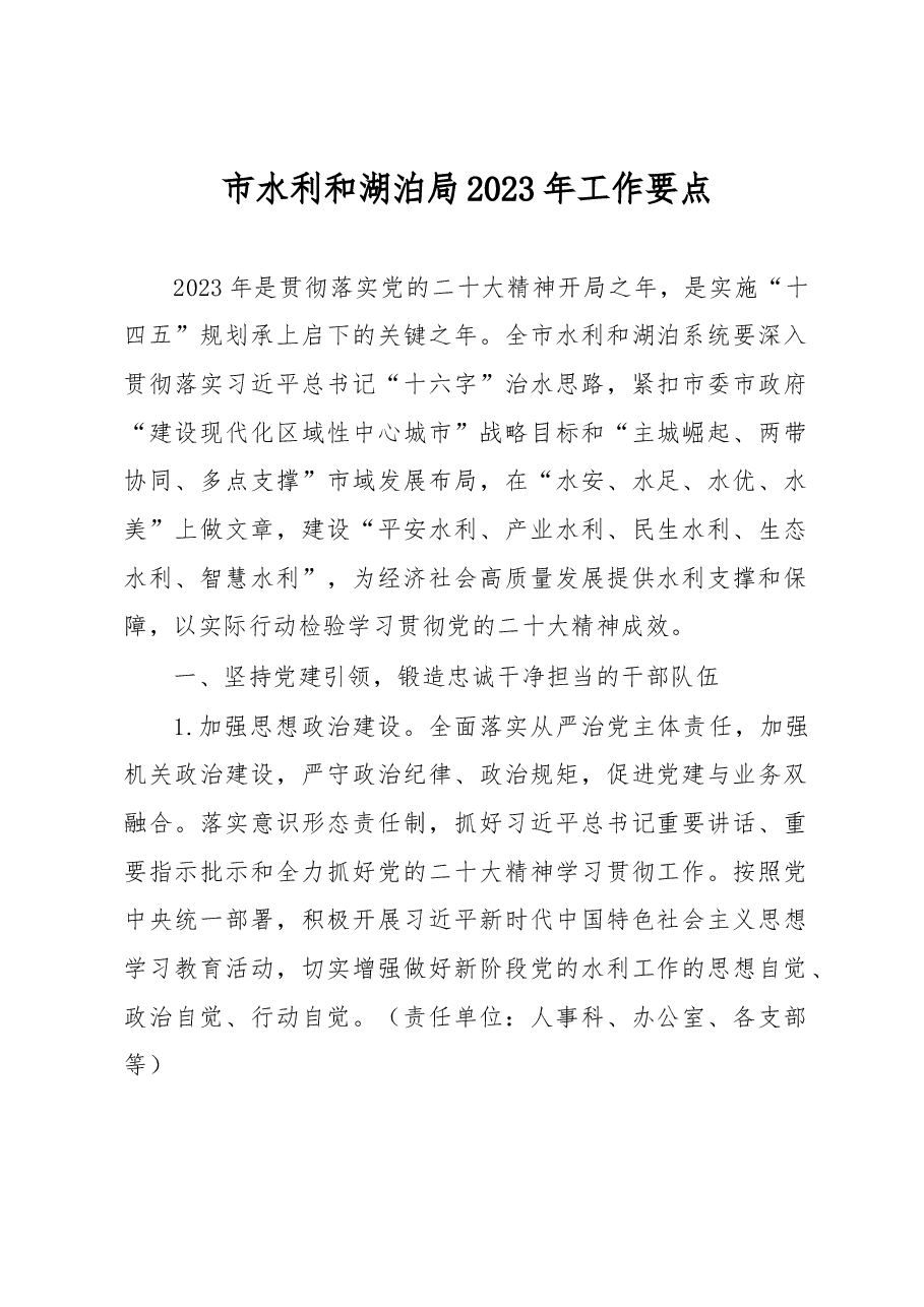 市水利和湖泊局2023年工作要点.docx,第1页预览