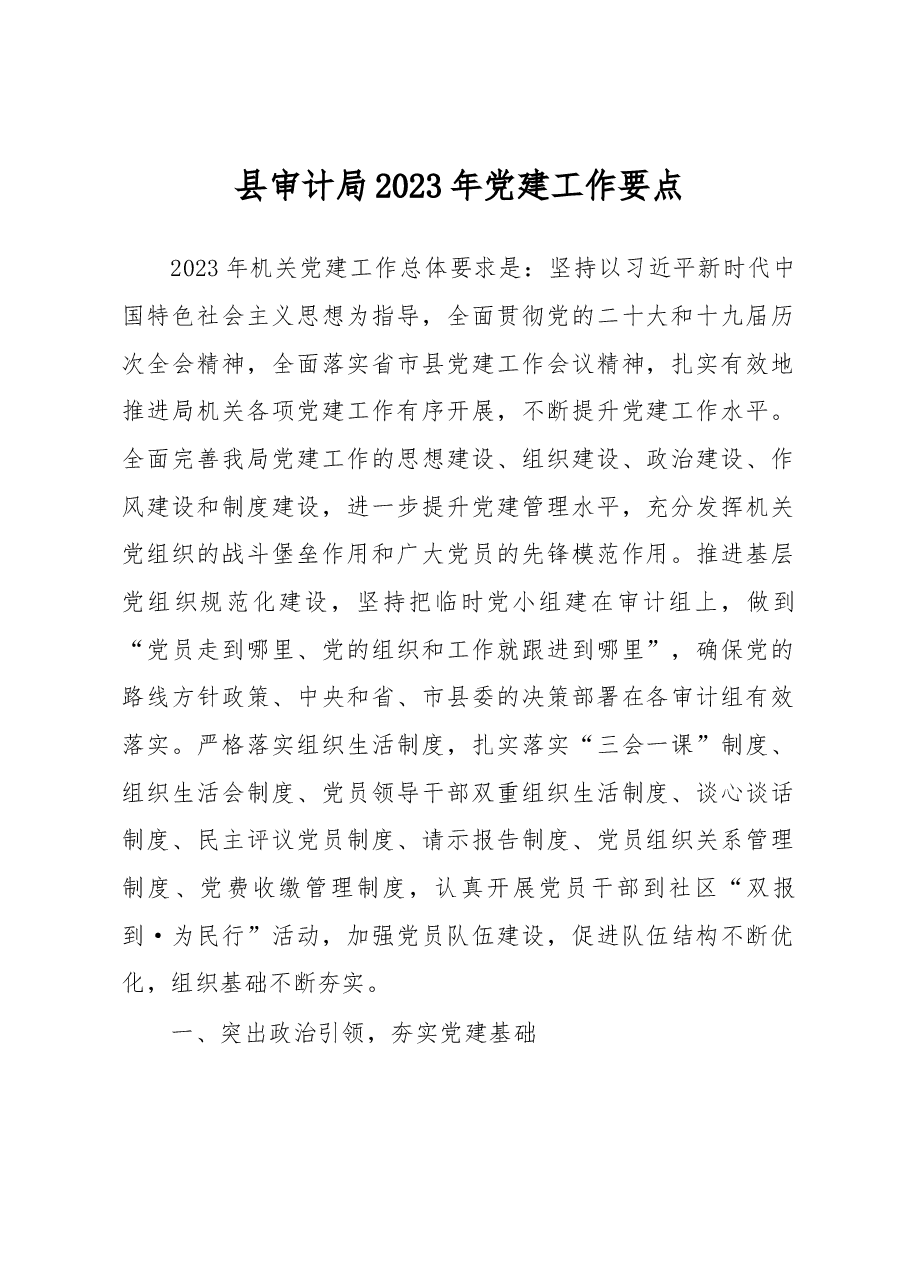 县审计局2023年党建工作要点.docx,第1页预览