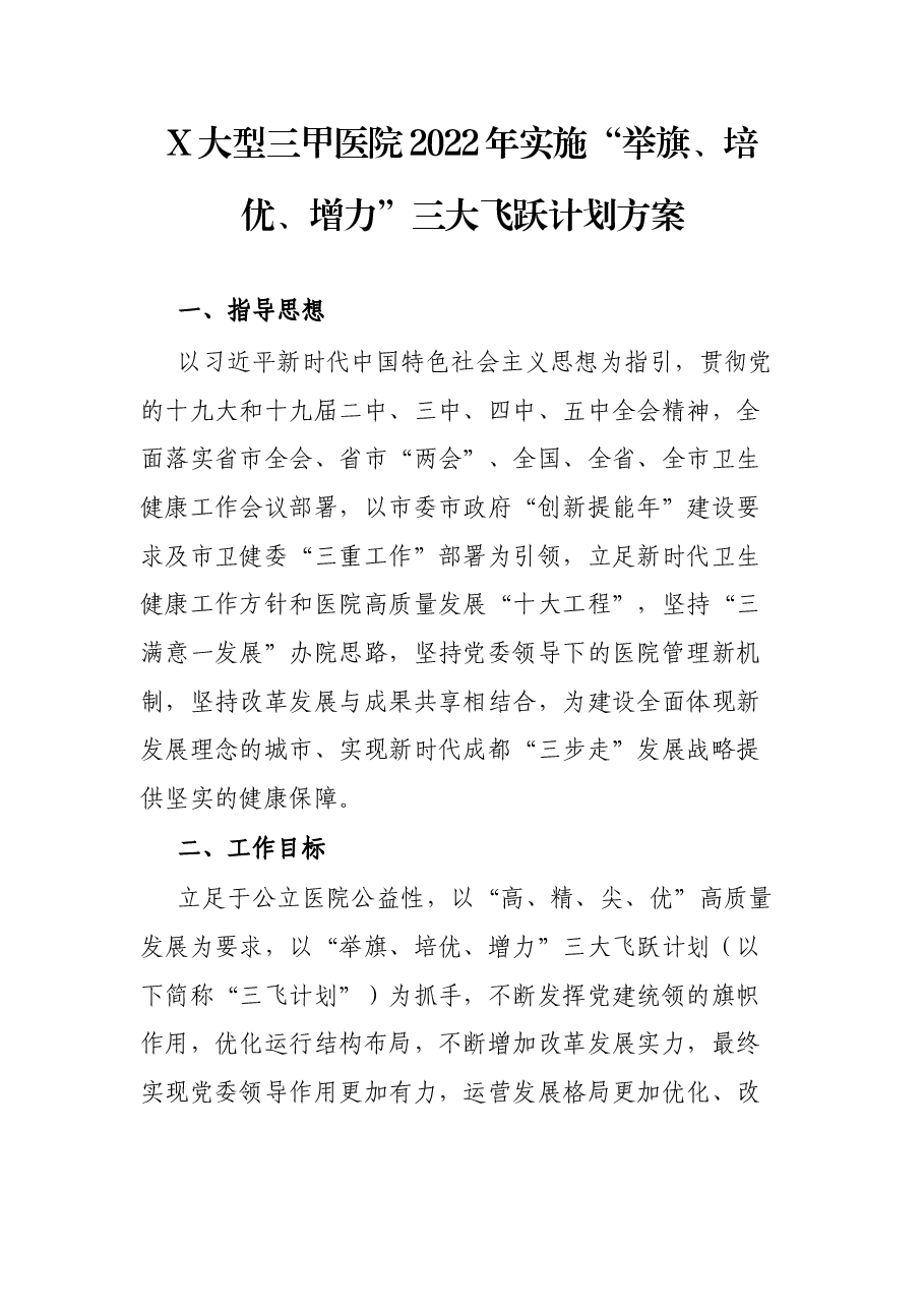 X大型三甲医院2022年实施“举旗、培优、增力”三大飞跃计划方案.docx,第1页预览