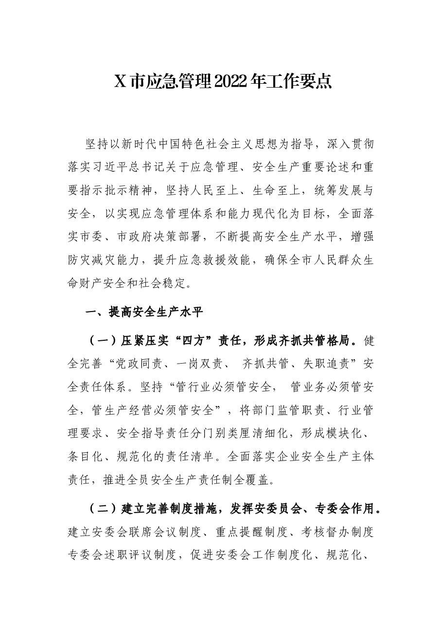 X市应急管理2022年工作要点.docx,第1页预览