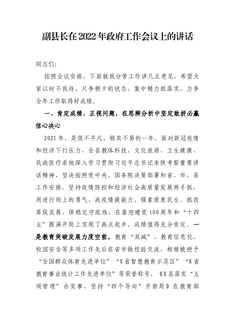 副县长在2022年政府工作会议上的讲话.docx,第1页预览