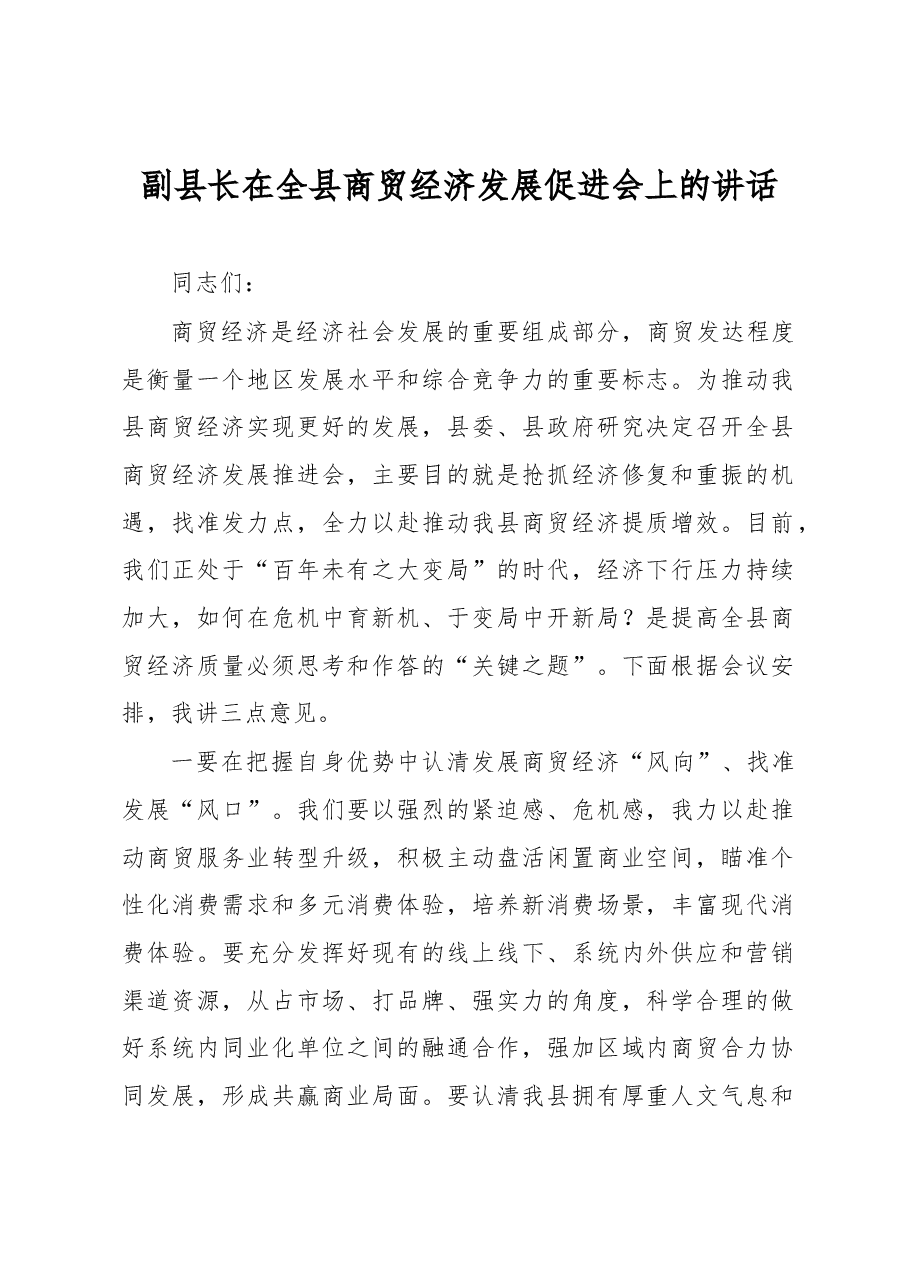 副县长在全县商贸经济发展促进会上的讲话.docx,第1页预览