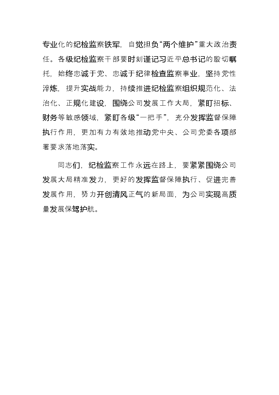 公司党委书记在2022年纪检监察系统工作会议上的讲话.docx,第4页预览