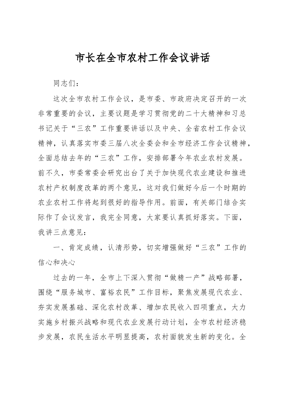 市长在全市农村工作会议讲话.docx,第1页预览