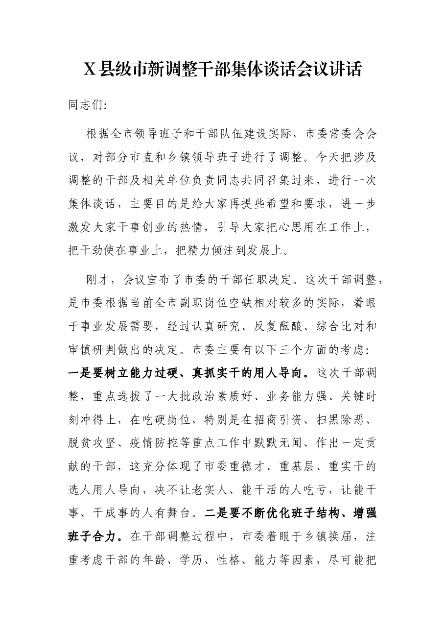 X县级市新调整干部集体谈话会议讲话.docx,第1页预览
