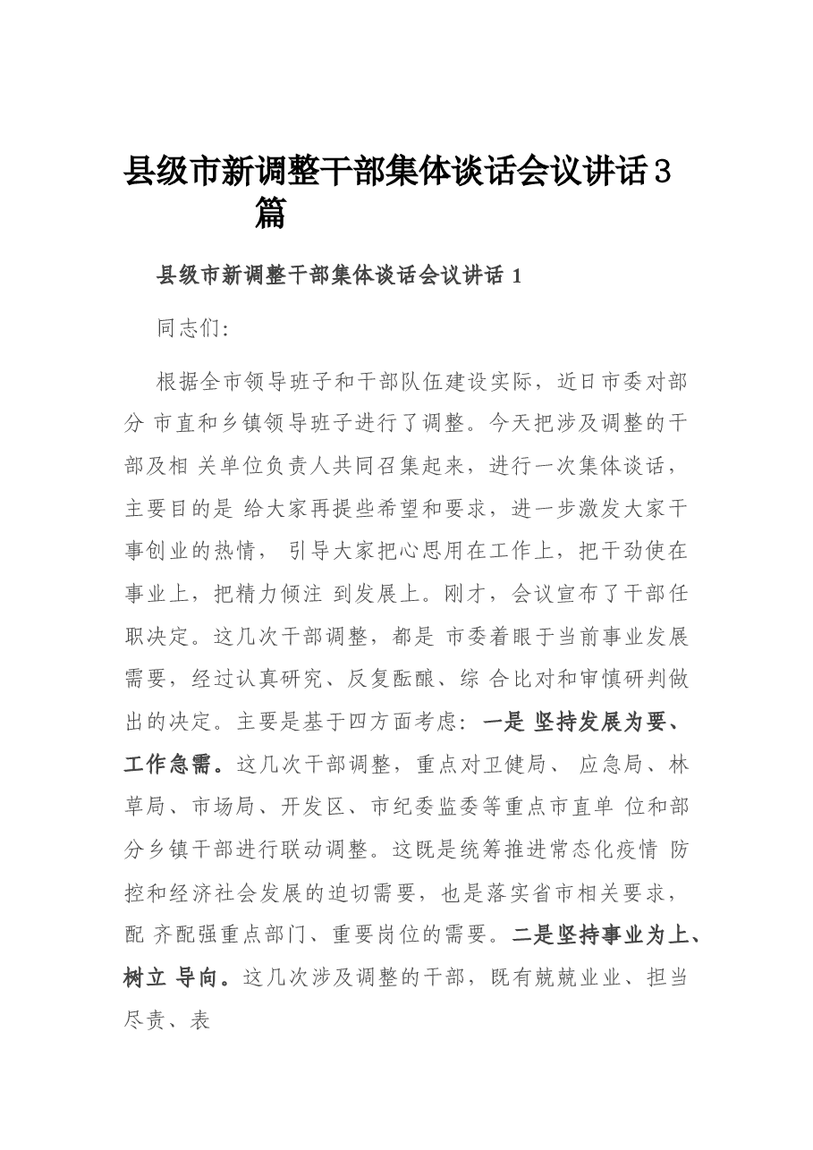 (3篇)县级市新调整干部集体谈话会议讲话.docx,第1页预览
