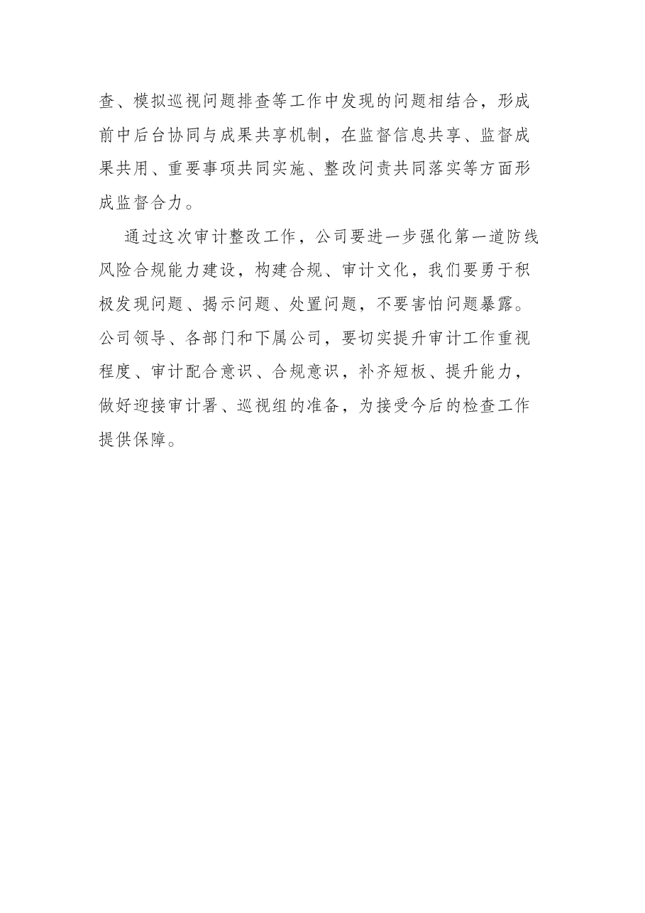 国企领导在审计整改启动会上的讲话.docx,第4页预览