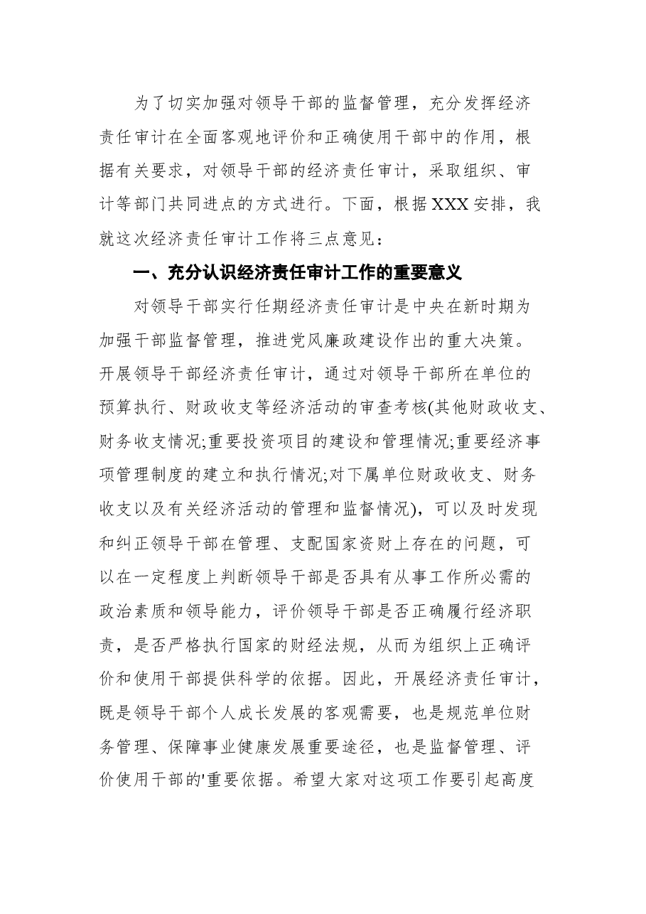 (11篇)审计进点会领导讲话稿汇编.docx,第4页预览