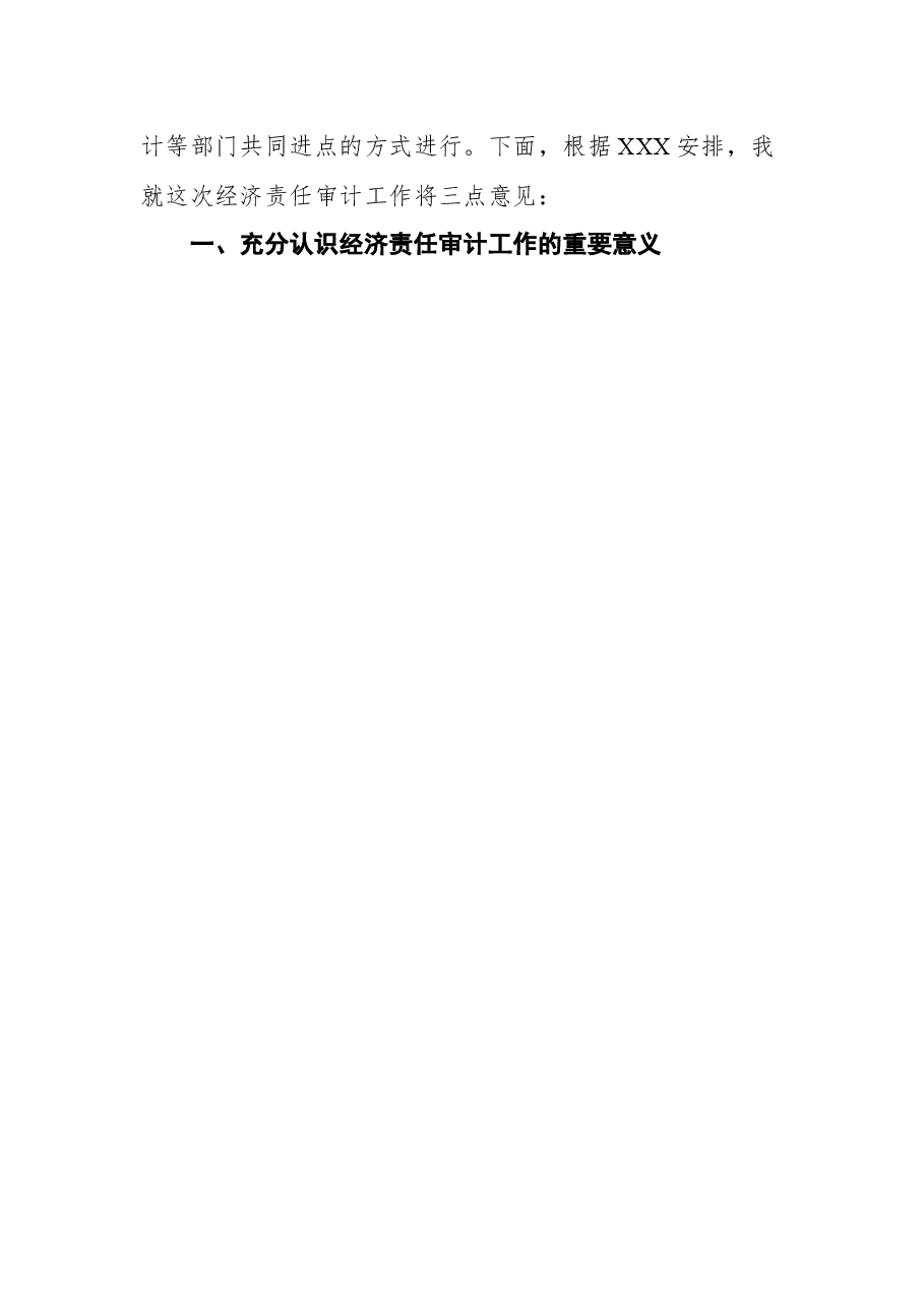 (11篇)审计进点会领导讲话.docx,第4页预览