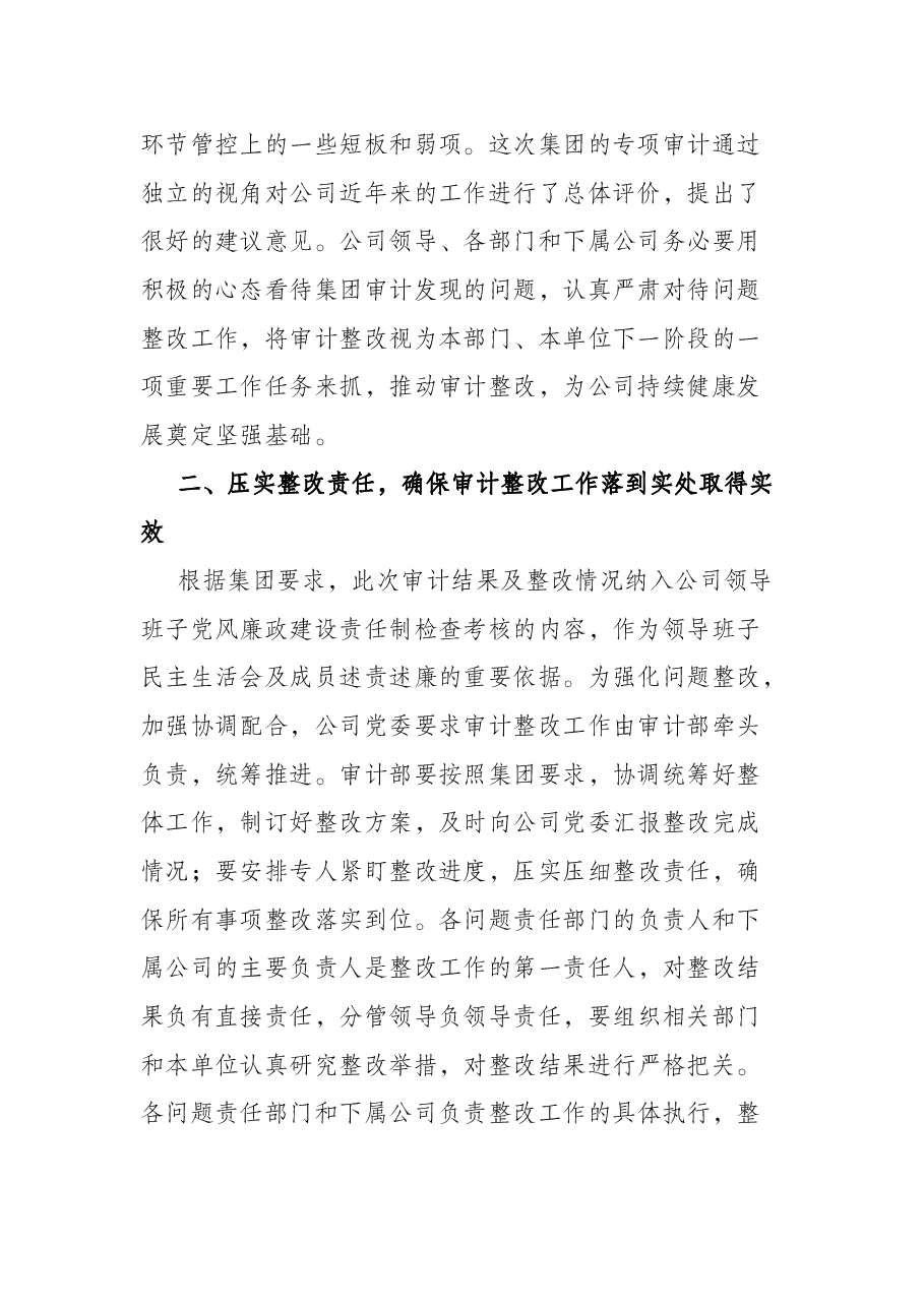 国企领导在审计整改启动会上的讲话.docx,第2页预览