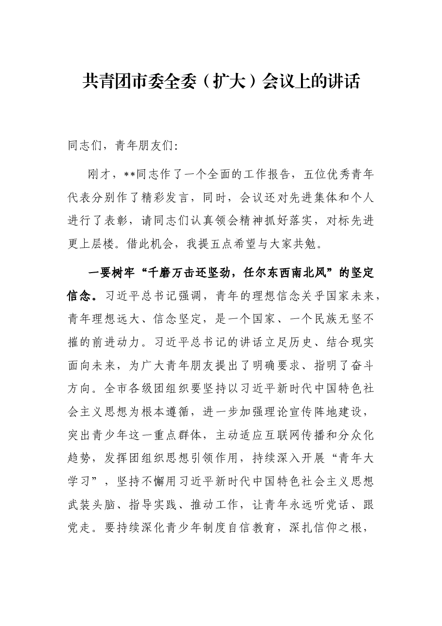 共青团市委全委(扩大)会议上的讲话.docx,第1页预览