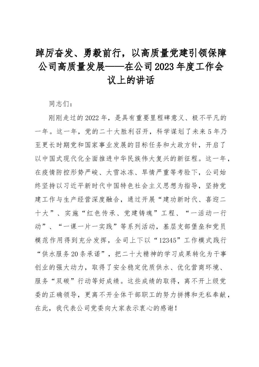 踔厉奋发、勇毅前行,以高质量党建引领保障公司高质量发展——在公司2023年度工作会议上的讲话.docx,第1页预览