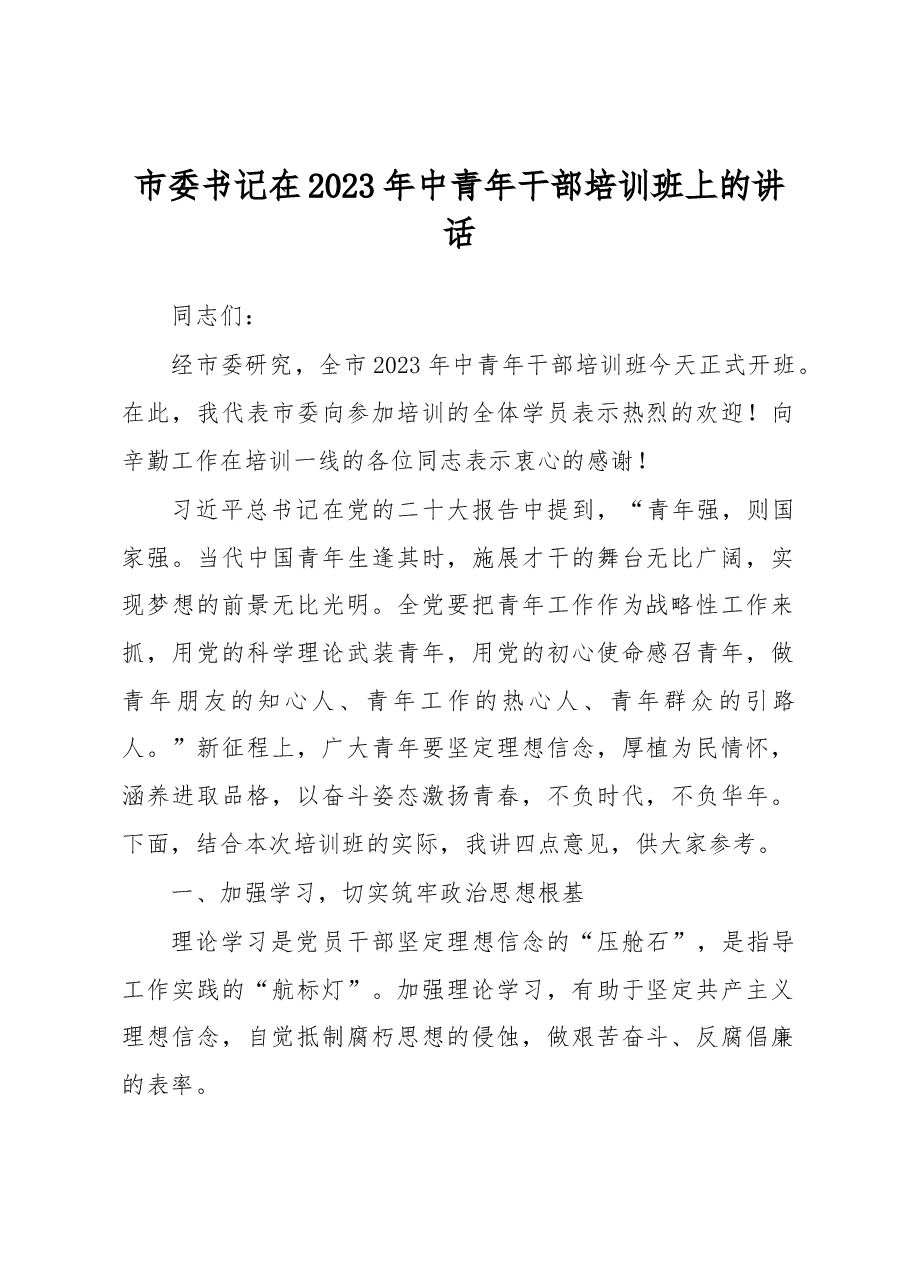 市委书记在2023年中青年干部培训班上的讲话.docx,第1页预览