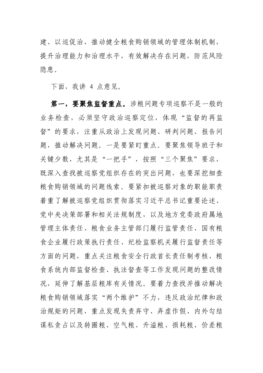 市纪委书记在涉粮问题专项巡察工作动员部署会上的讲话.docx,第3页预览