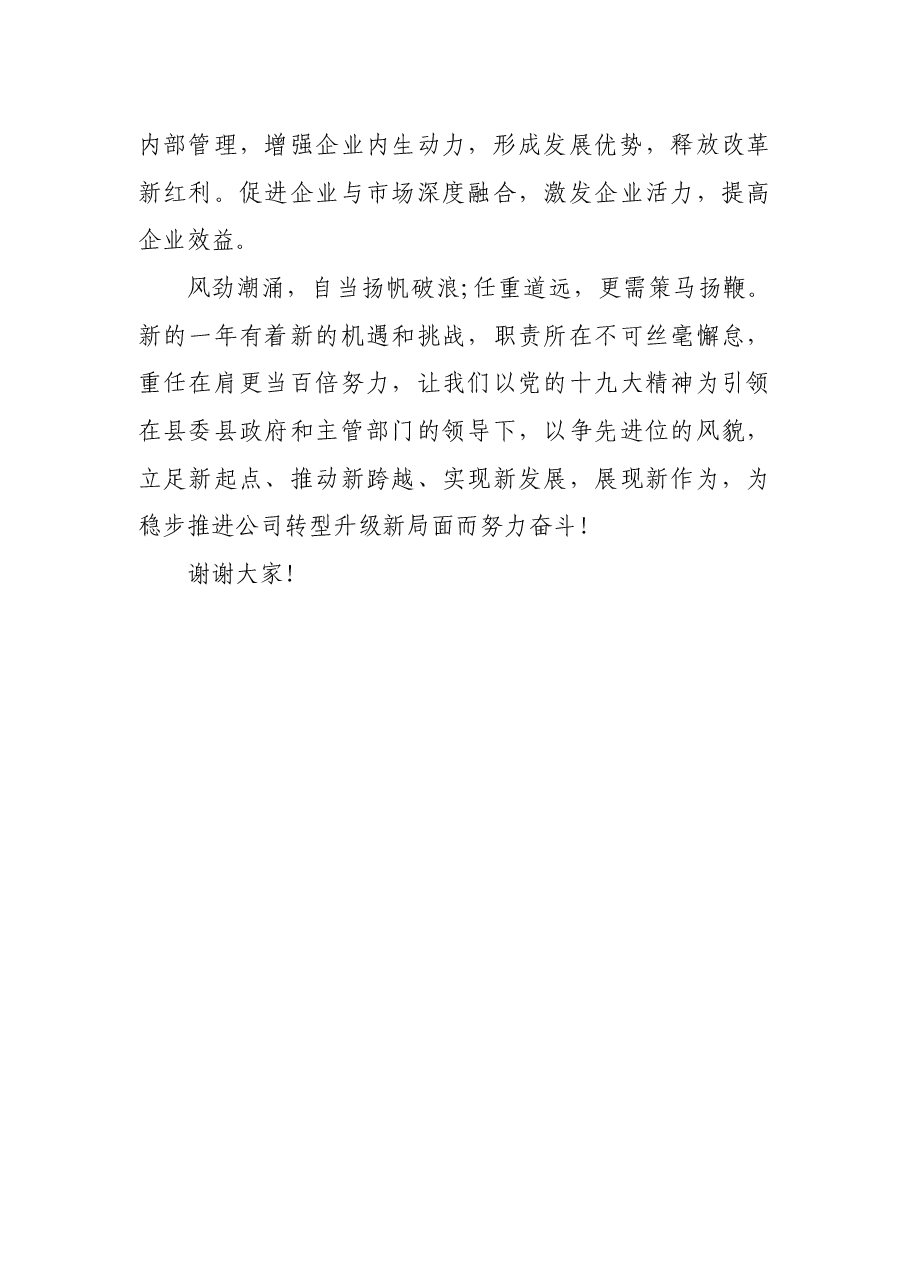 年度工作会议董事长讲话提纲.docx,第4页预览