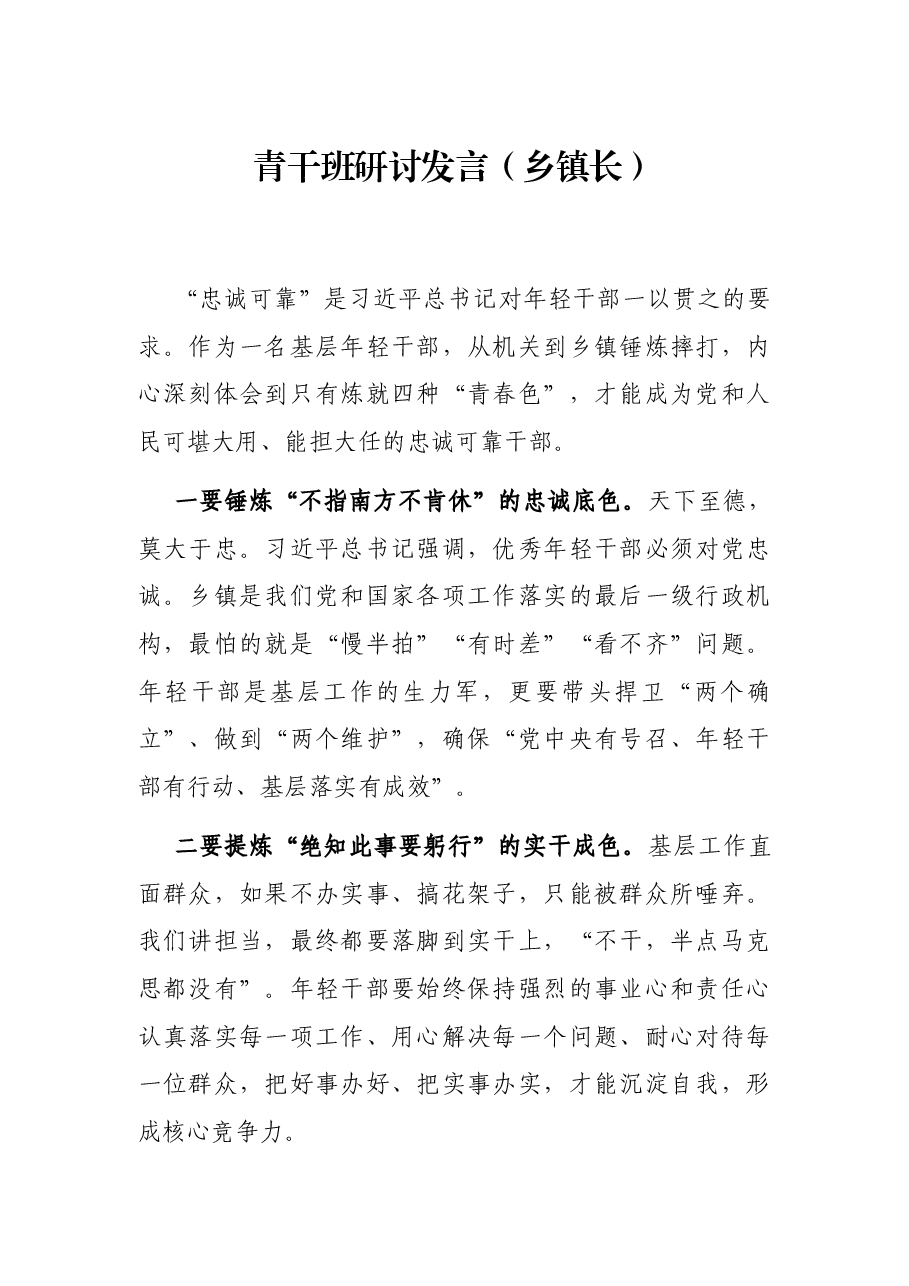 青干班研讨发言(乡镇长).docx,第1页预览