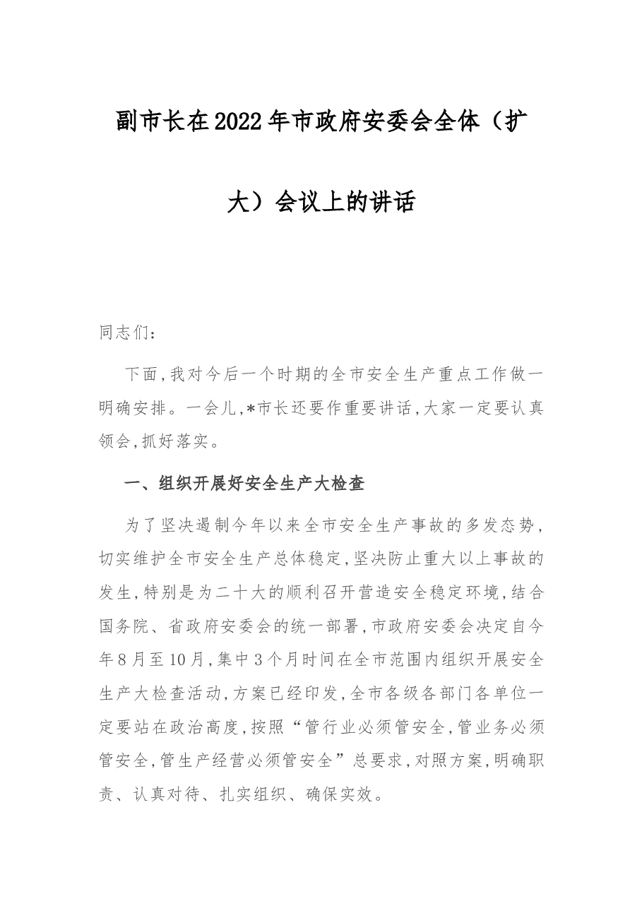 副市长在2022年市府安委会全体(扩大)会议上的讲话.docx,第1页预览