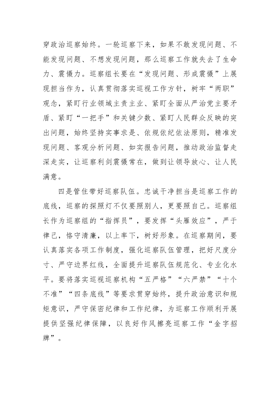 强化政治担当忠诚履职尽责为推动市委巡察工作高质量发展贡献力量——市委巡察工作高质量发展推进会经验交流材料.docx,第3页预览