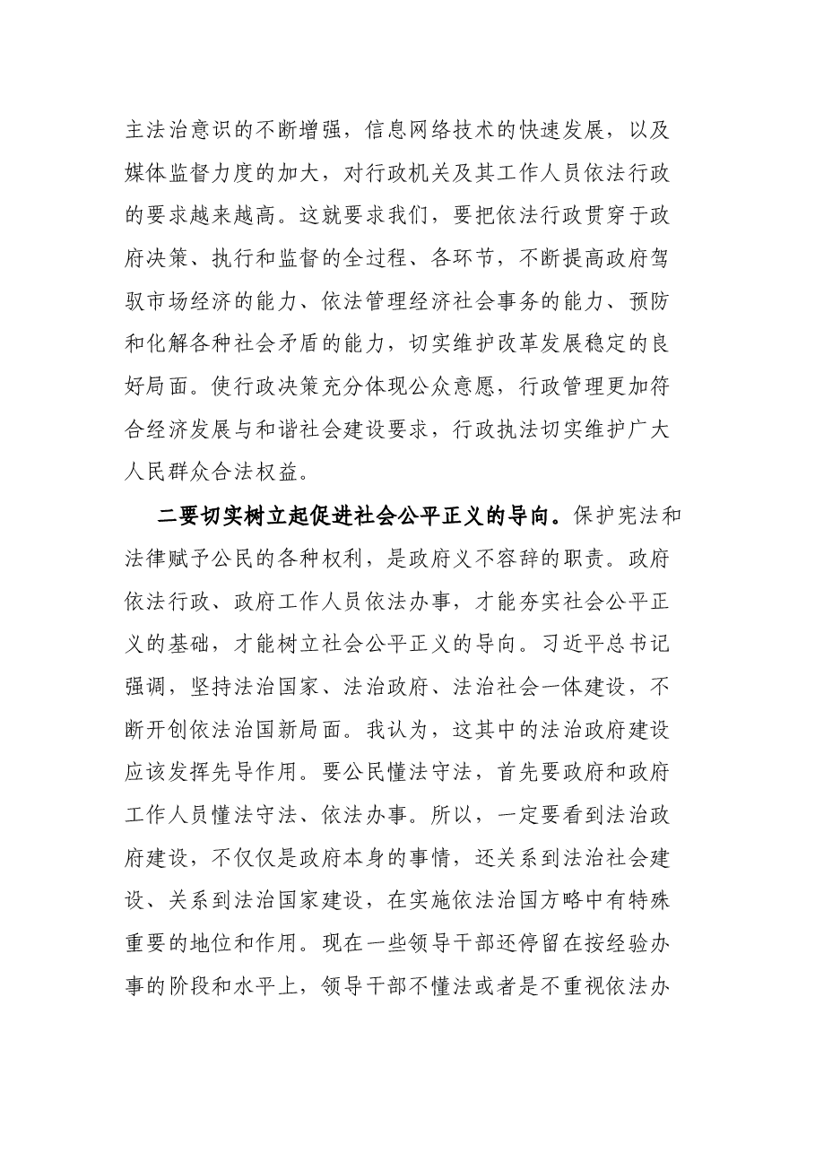 在全县2022年依法行政领导小组工作会议上的讲话.docx,第3页预览