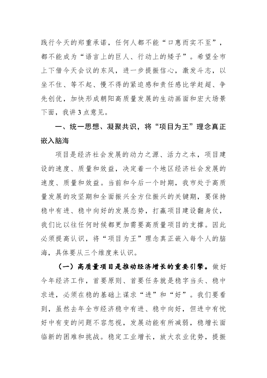 在全市高质量项目建设年动员大会上的讲话.docx,第3页预览