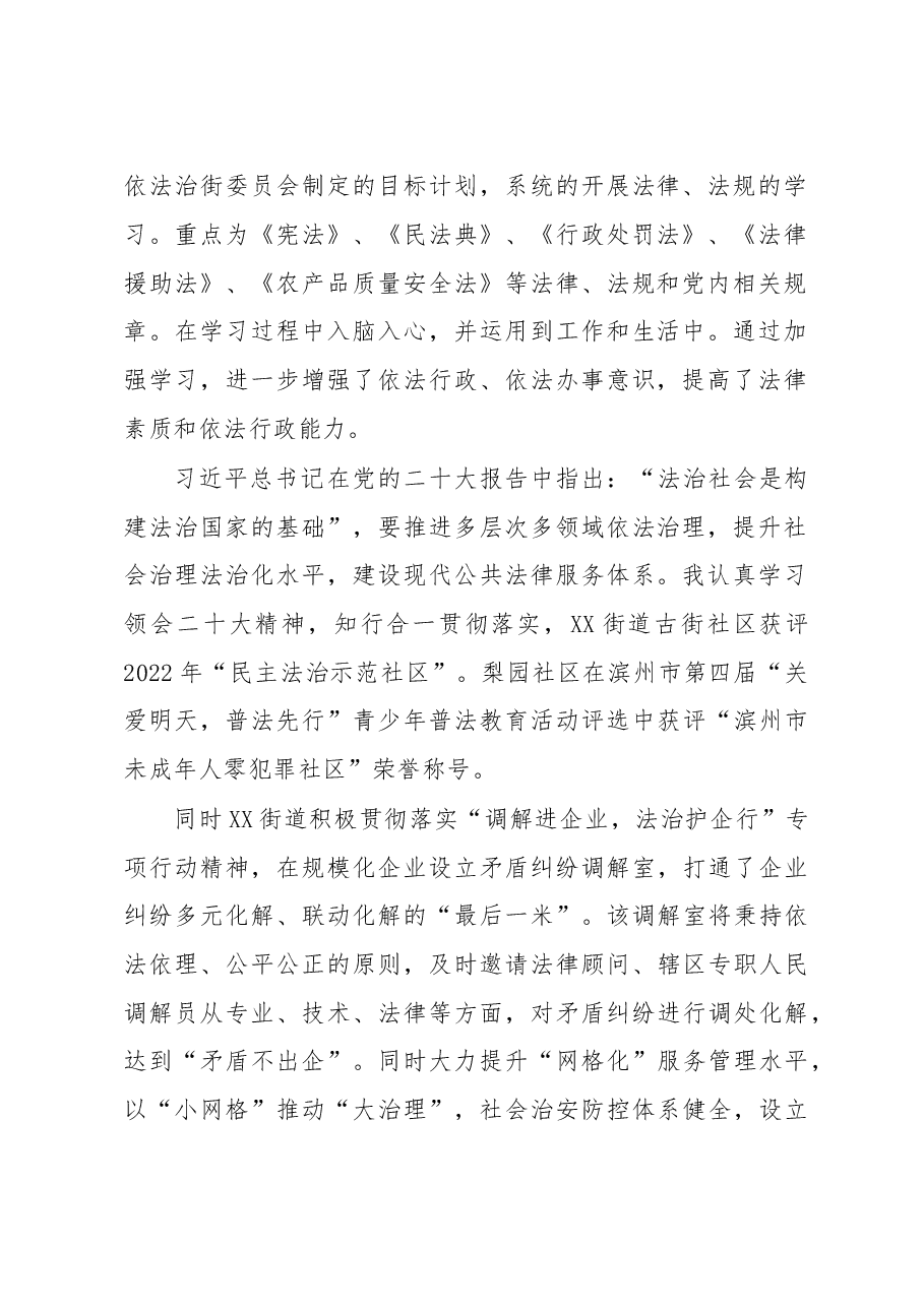 XX街道党工委副书记、办事处主任2022年度述法报告.docx,第2页预览