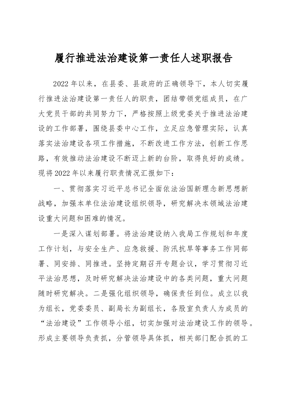 履行推进法治建设第一责任人述职报告.docx,第1页预览