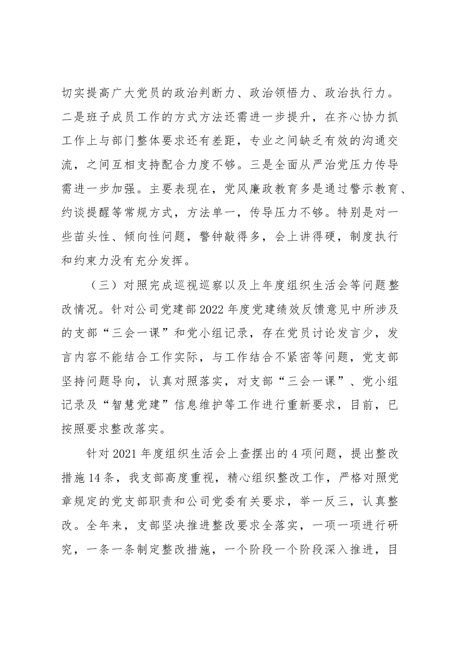 X公司党支部班子2022年度组织生活会对照检查材料.docx，第4页预览