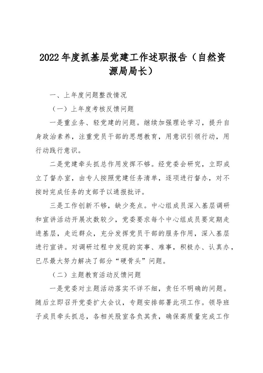 2022年度抓基层党建工作述职报告（自然资源局局长）.docx，第1页预览