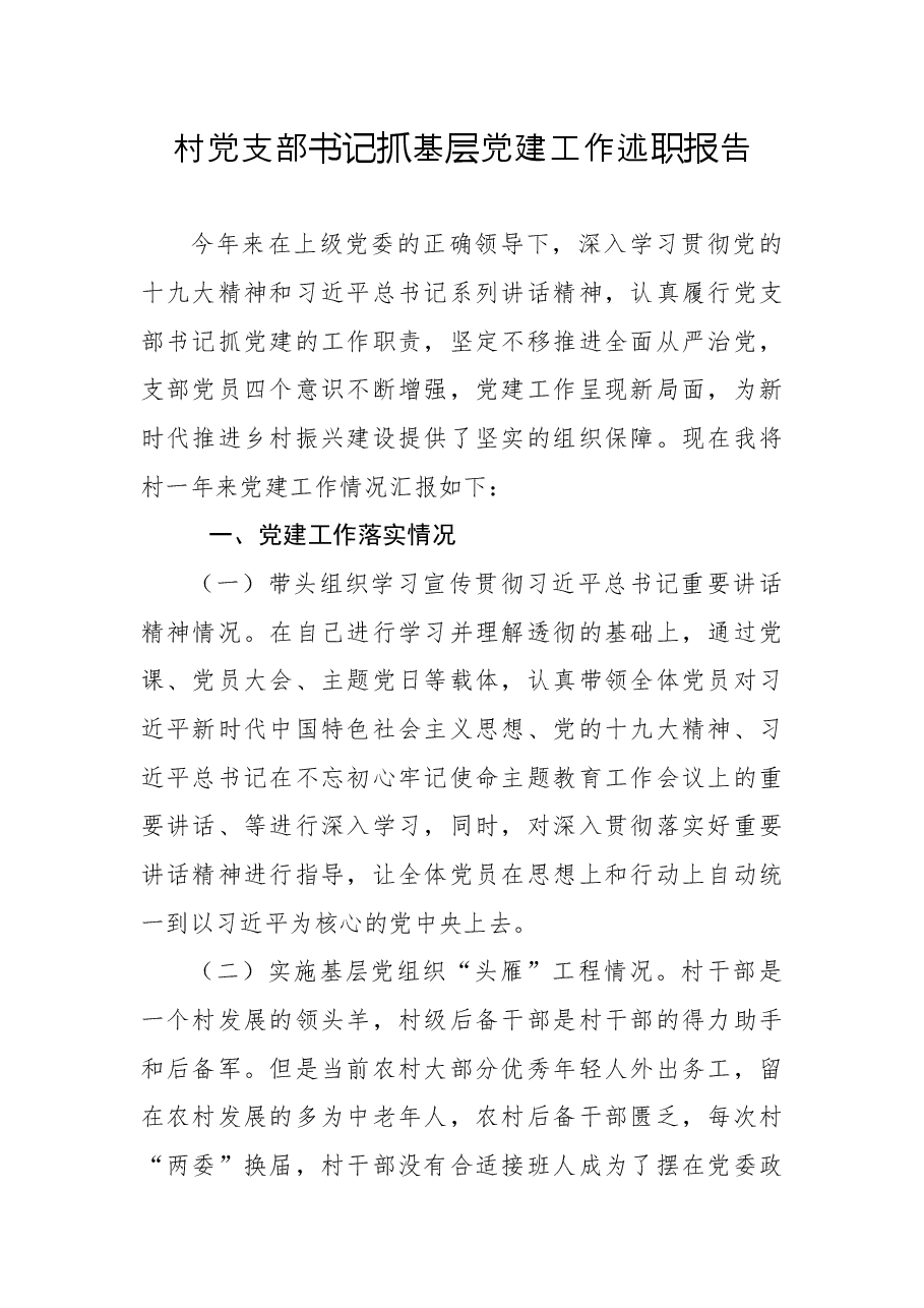 村党支部书记个人总结、述职报告7篇.docx,第2页预览