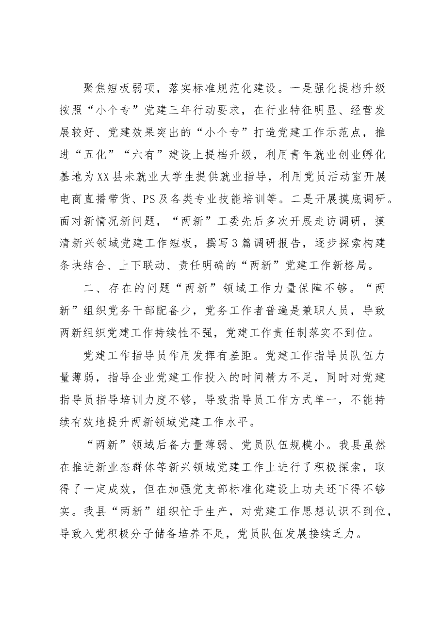 （6篇）2022年度各市县委两新工委书记抓基层党建述职报告汇编.docx，第3页预览
