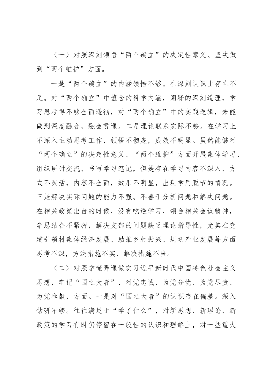 2022年度基层党组织组织生活会支部班子检视剖析材料.docx，第3页预览