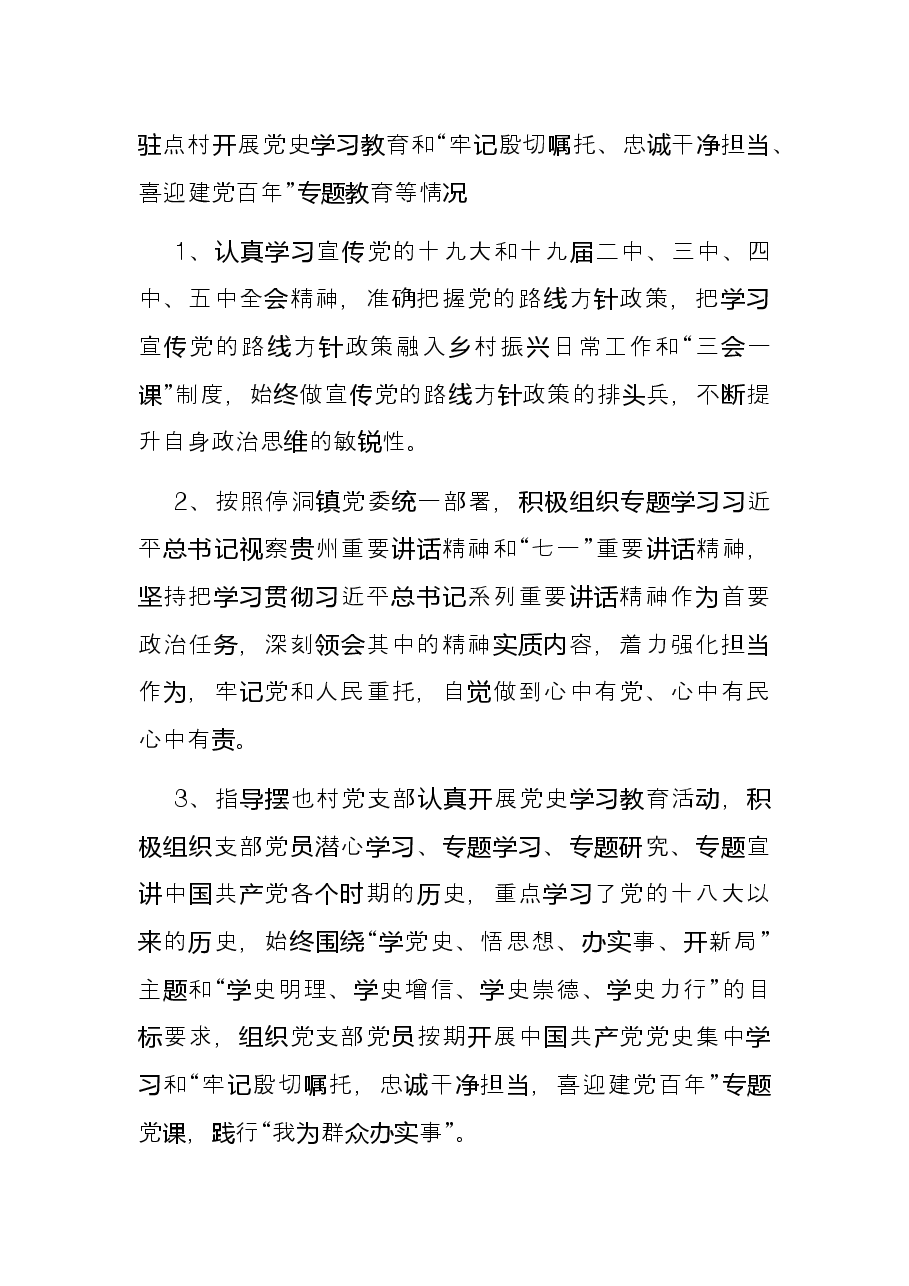 2021年度乡村振兴驻村工作队述职报告.docx，第2页预览