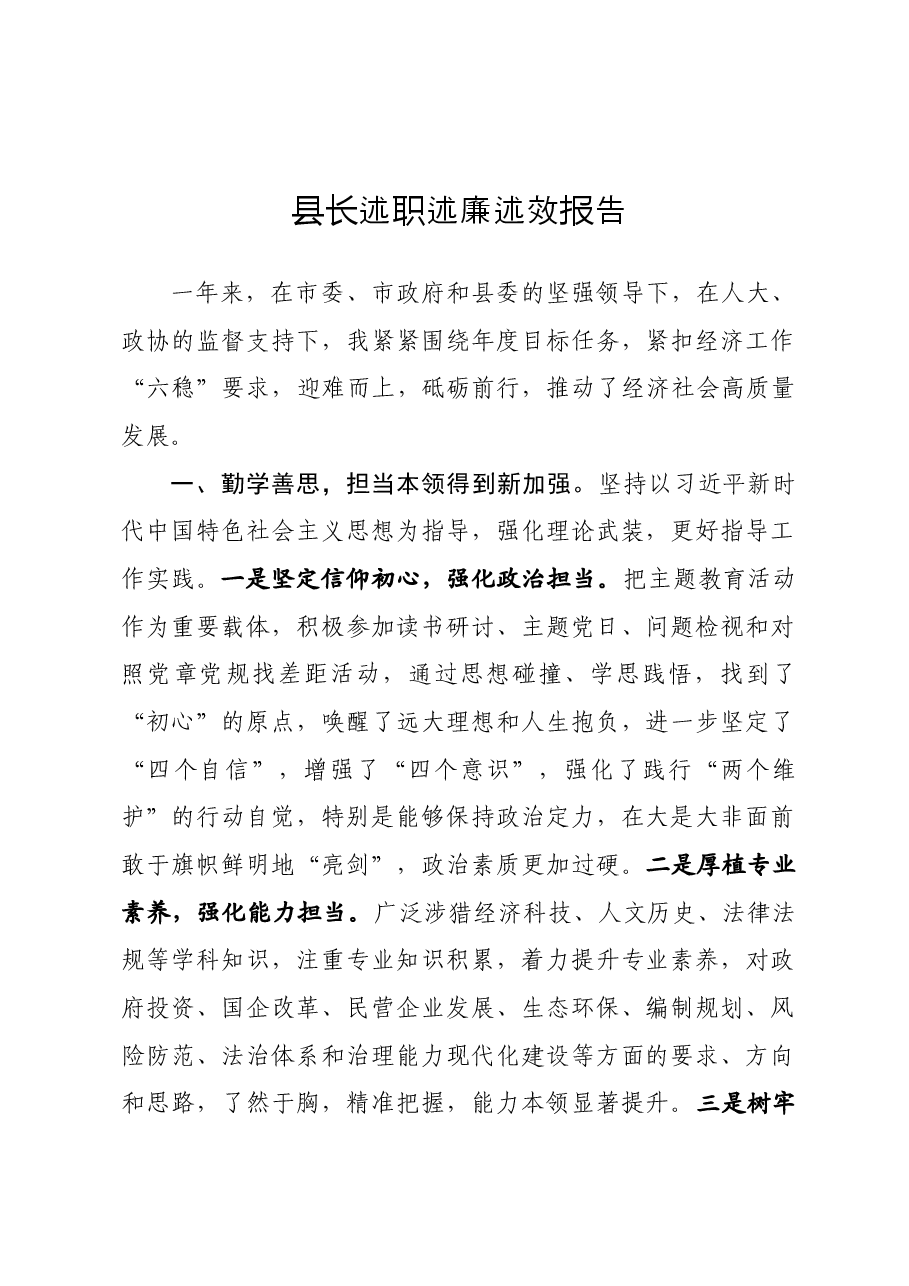 年终13:县长述职述廉述效报告.docx,第1页预览