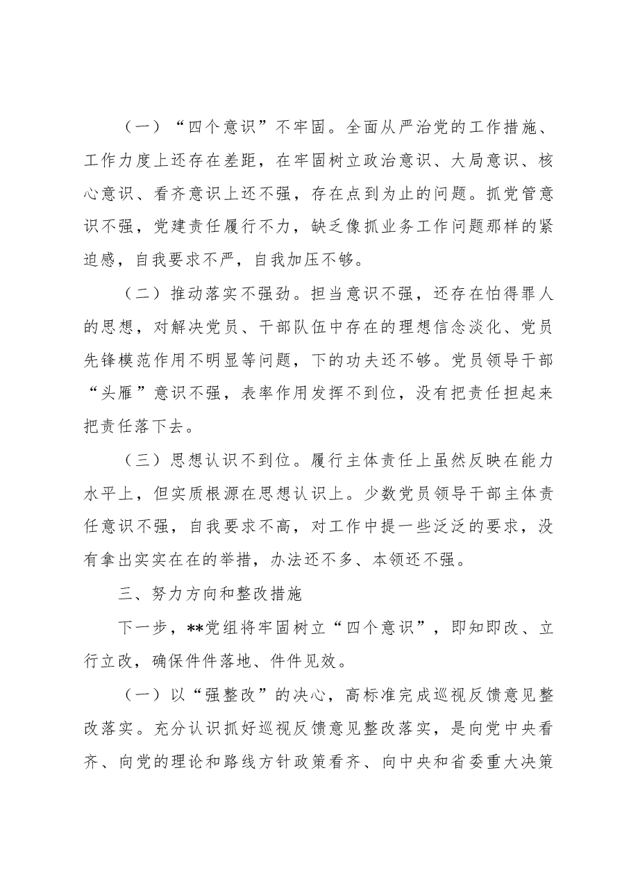 XX党组巡视整改专题民主生活会对照检查材料.doc，第3页预览