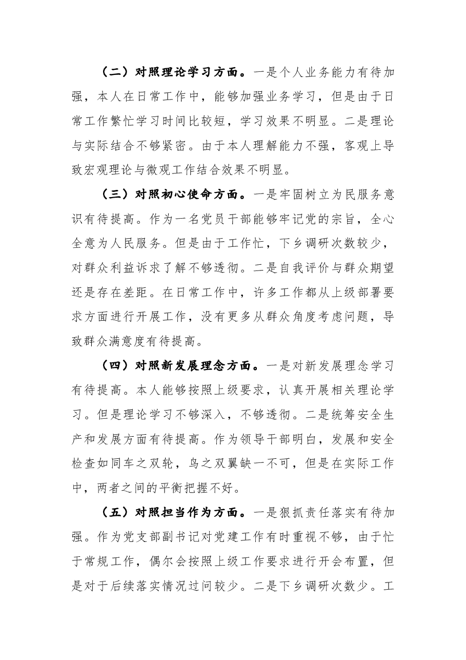党支部书记“学查改”专题组织生活会个人对照检查材料.docx,第2页预览