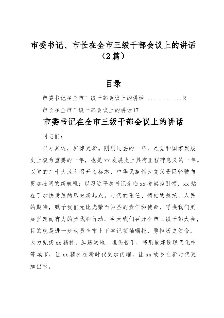 (2篇)市委书记、市长在全市三级干部会议上的讲话.docx,第1页预览