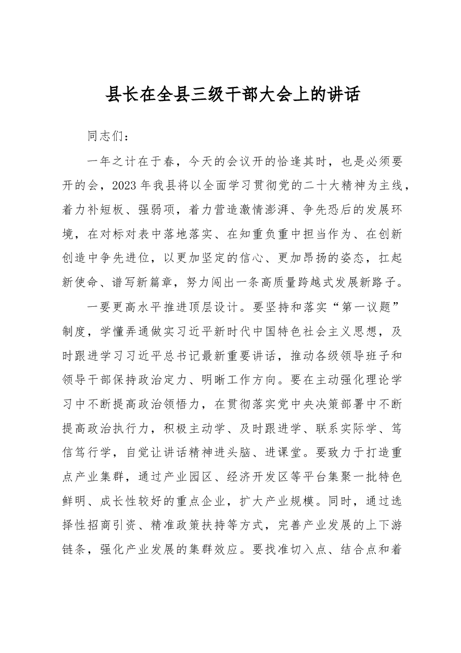 县长在全县三级干部大会上的讲话.docx,第1页预览