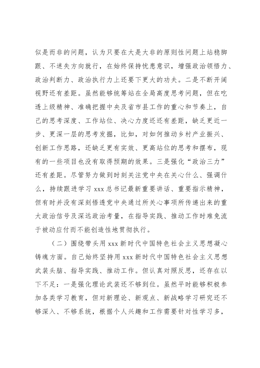 2022年度党员领导干部民主生活会个人对照检查材料提纲.doc,第3页预览