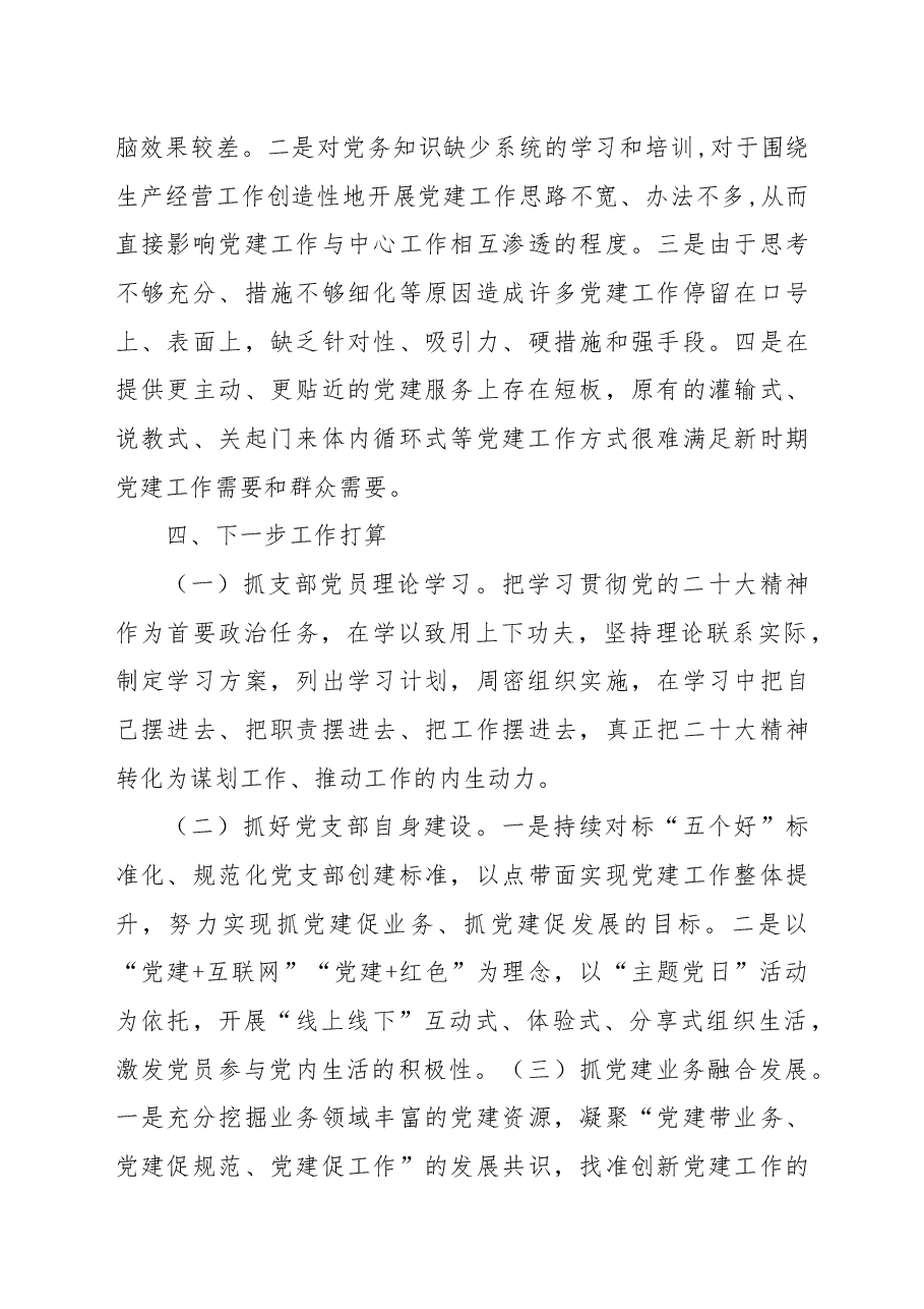 基层支部书记抓党建述职报告.docx,第4页预览