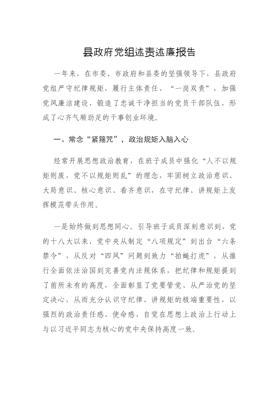 县政府党组述责述廉报告.docx，第1页预览