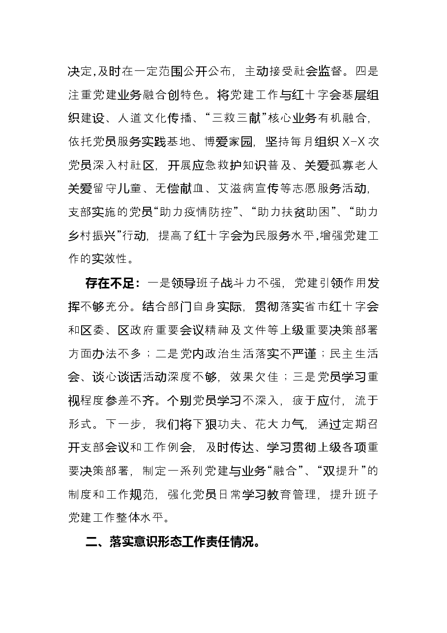 区红十字会党支部书记X年度履行全面从严治党主体责任述职报告.docx,第2页预览